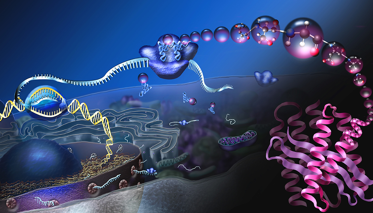 OncoProtein早期多癌篩檢微量癌蛋白